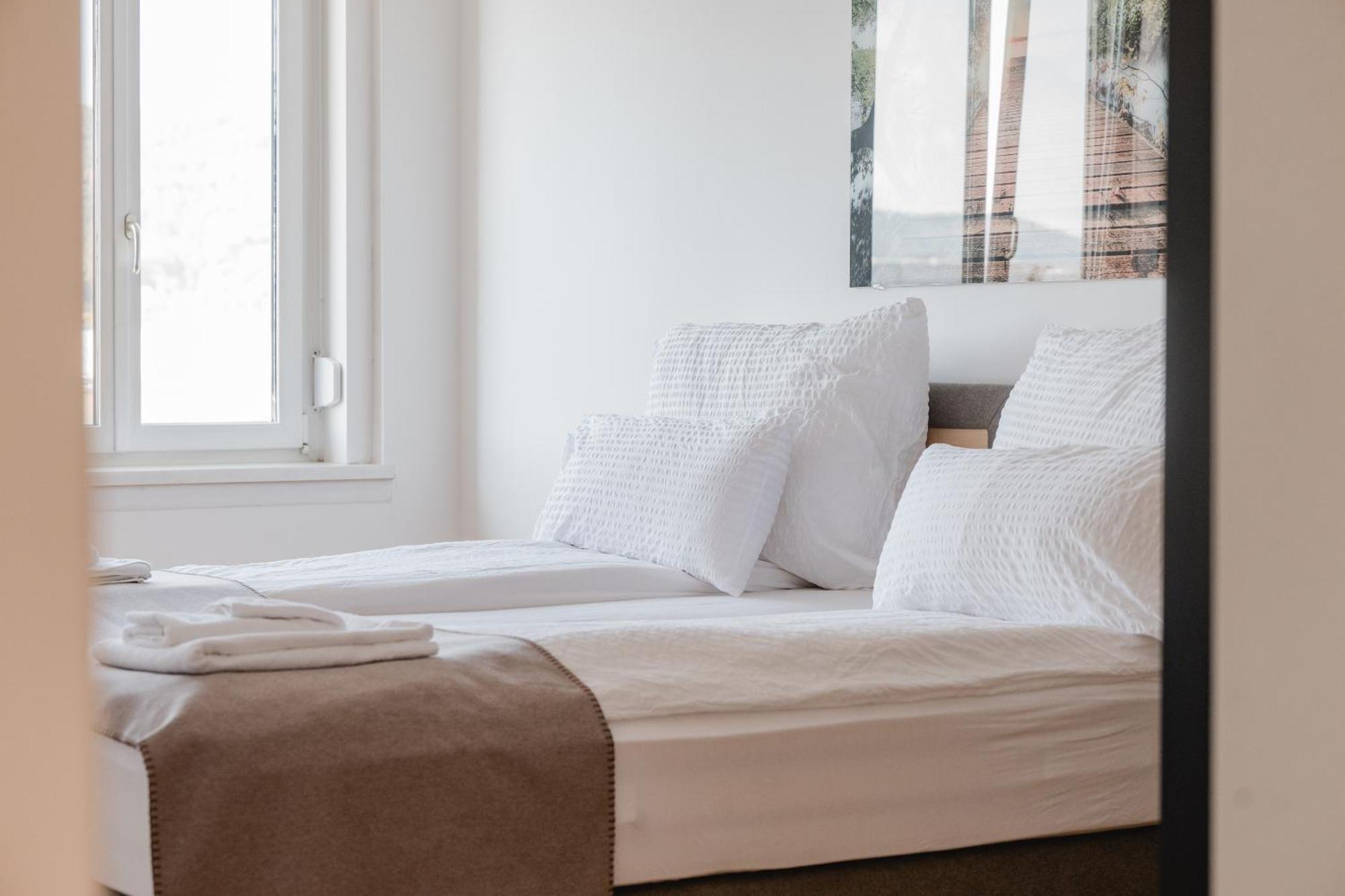 Tamliving Center Luxury 4 Rooms Smart Tv Kitchen Great View Graz Kültér fotó
