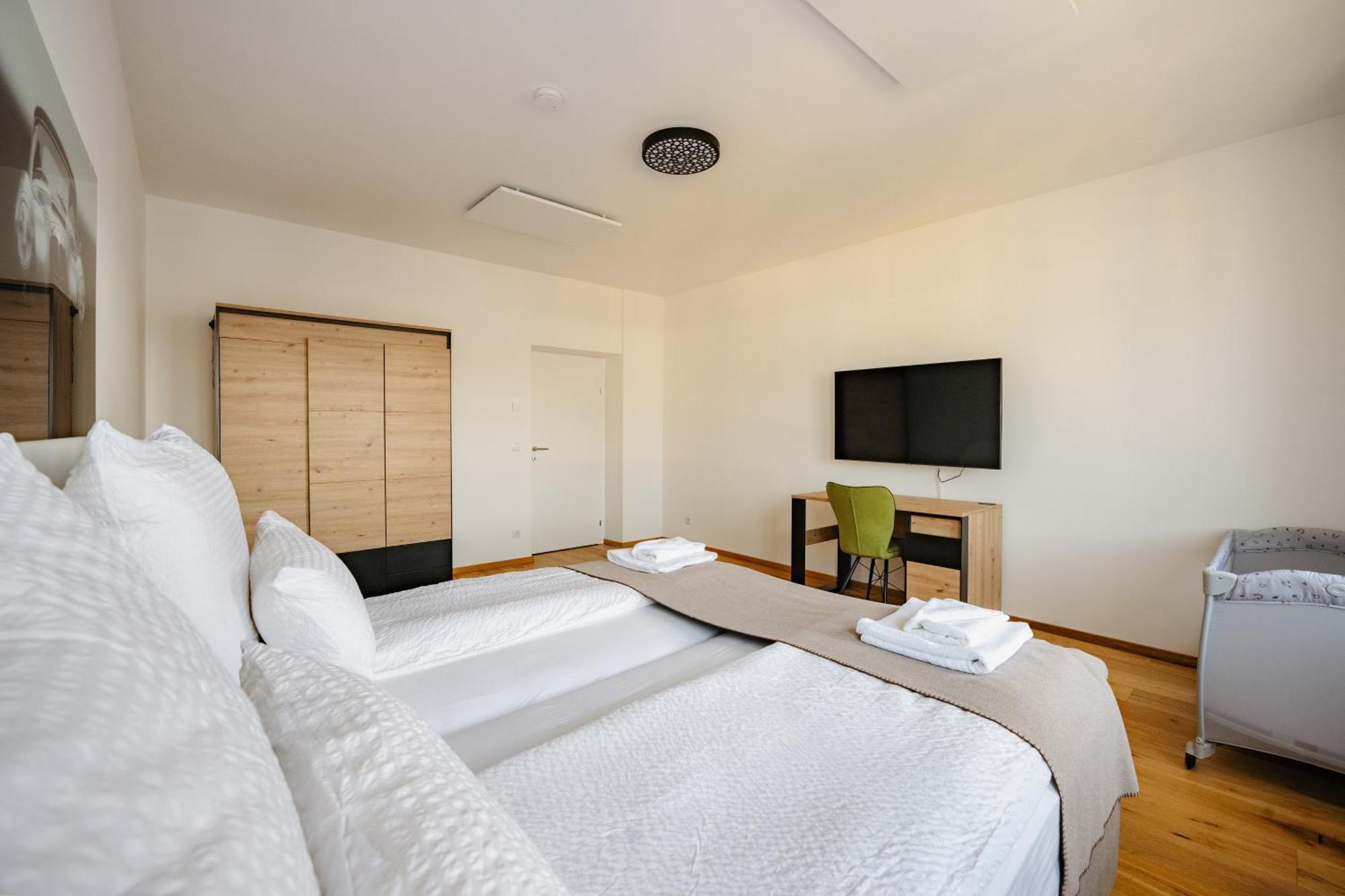 Tamliving Center Luxury 4 Rooms Smart Tv Kitchen Great View Graz Kültér fotó