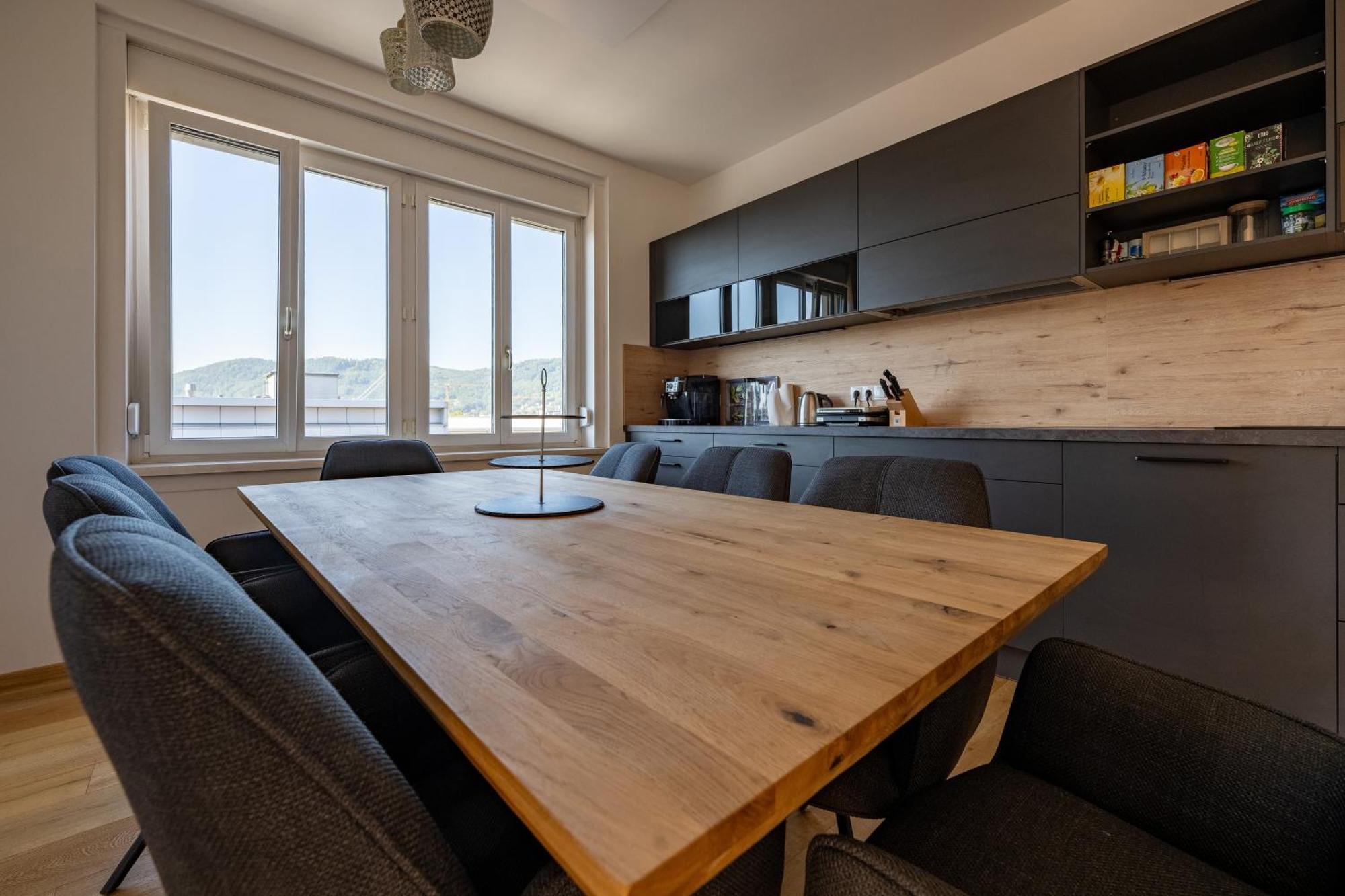 Tamliving Center Luxury 4 Rooms Smart Tv Kitchen Great View Graz Kültér fotó