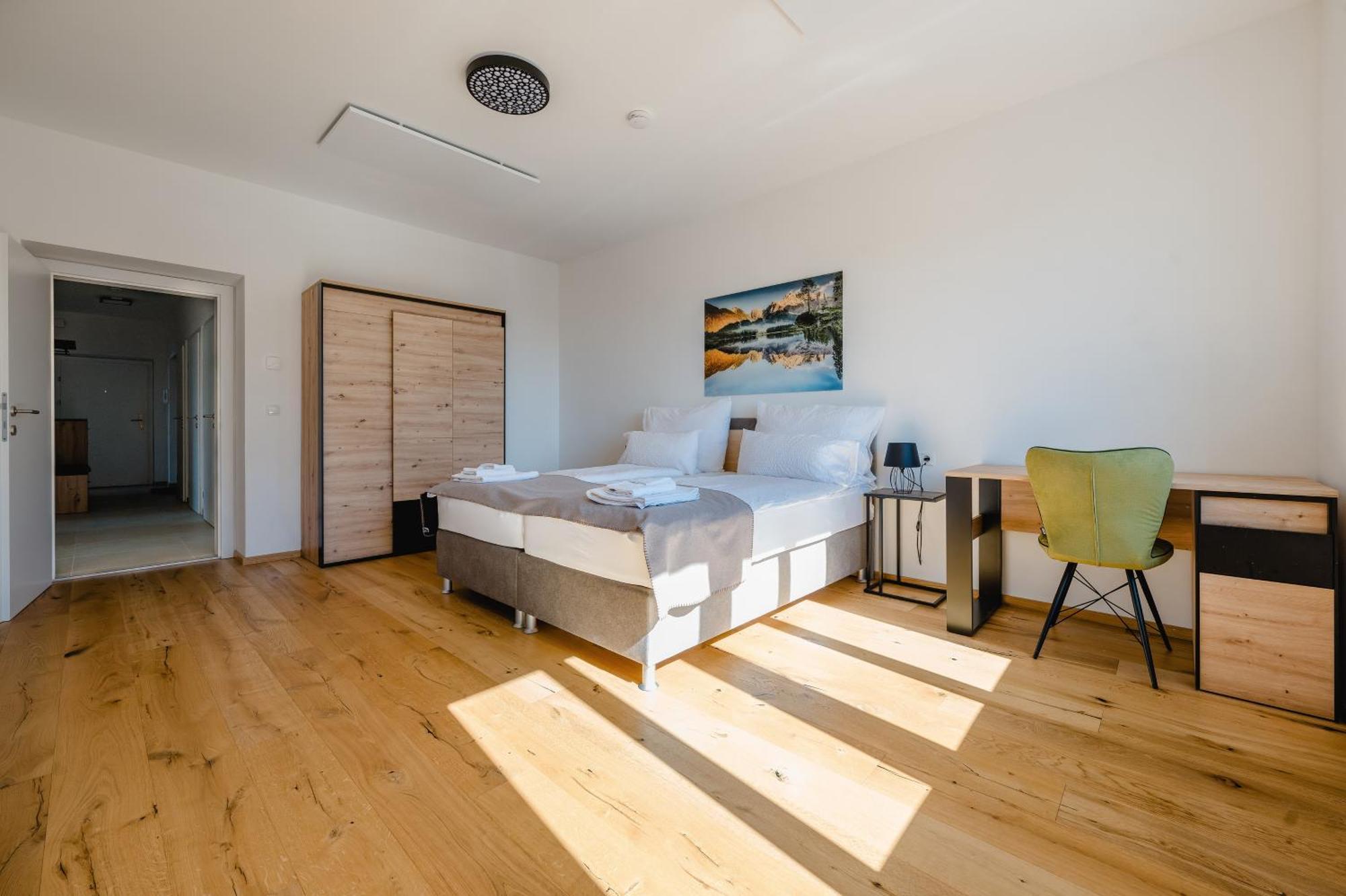 Tamliving Center Luxury 4 Rooms Smart Tv Kitchen Great View Graz Kültér fotó